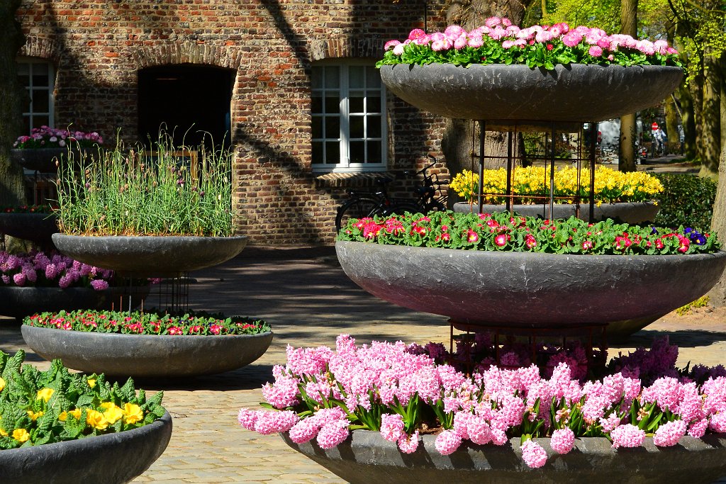 D70_8129.JPG - koppmeier.net