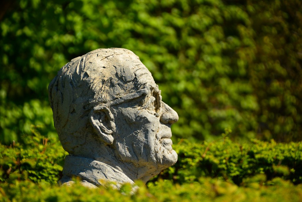 D70_8140.JPG - koppmeier.net