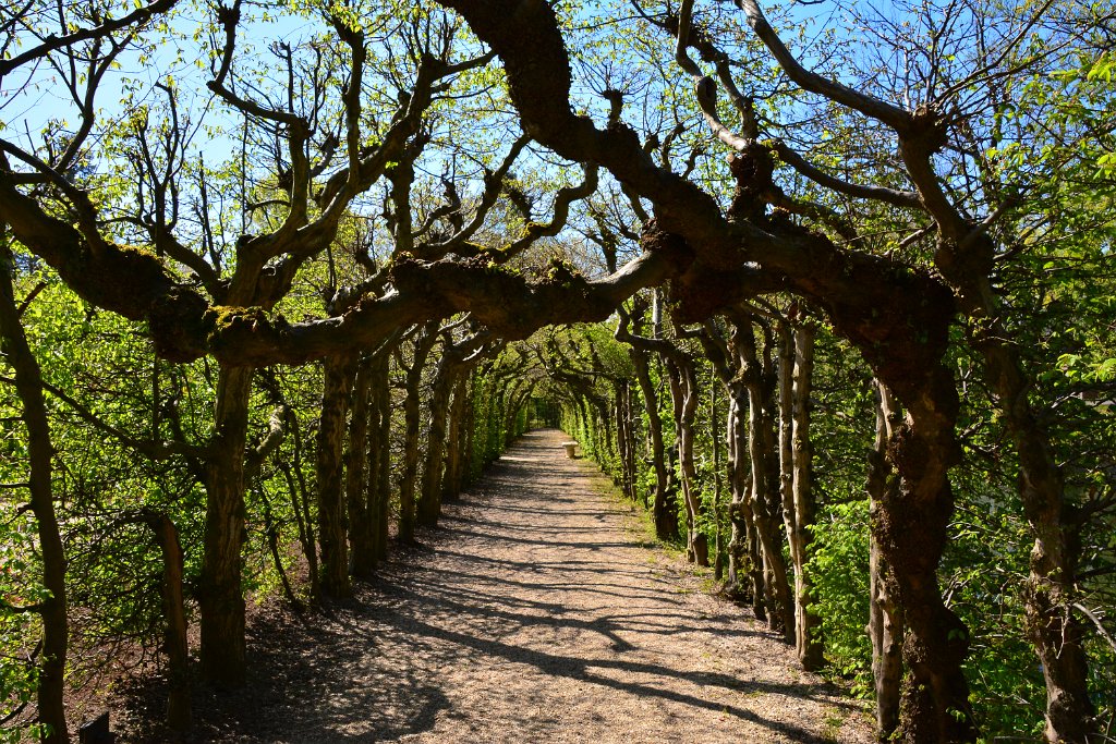 D70_8149.JPG - koppmeier.net