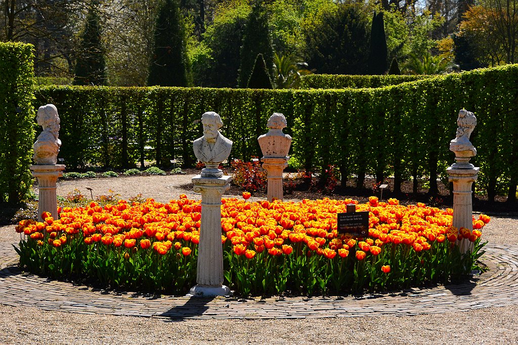 D70_8151.JPG - koppmeier.net