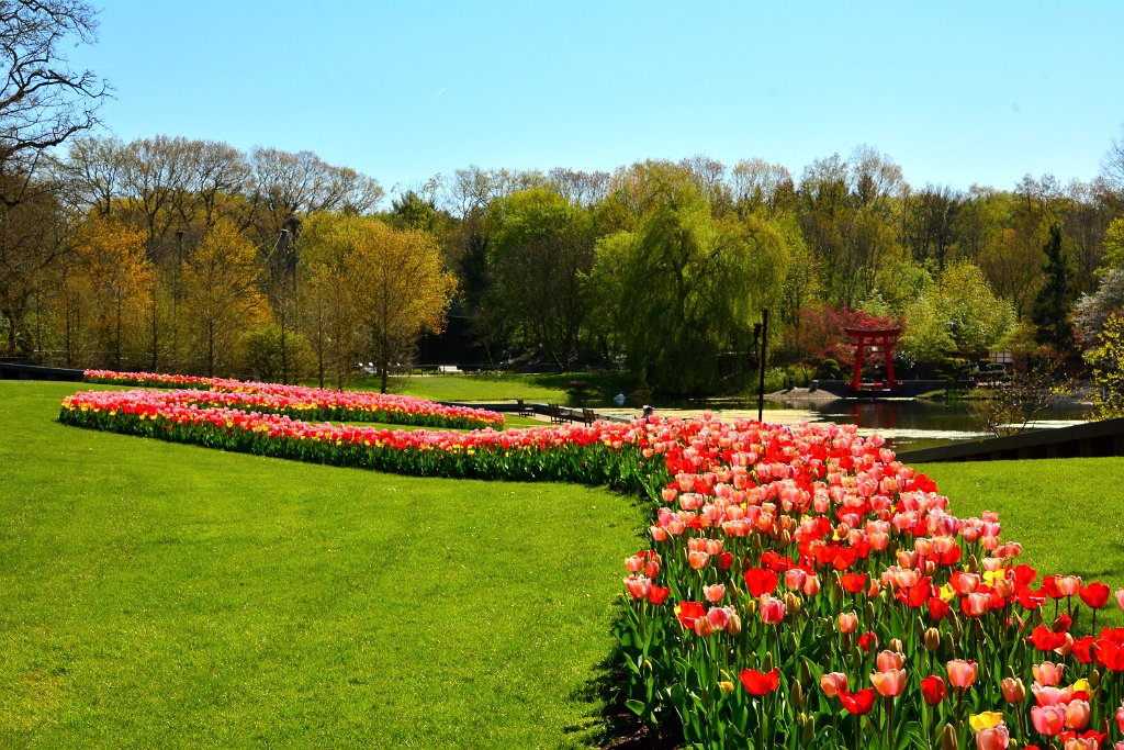 D70_8169.JPG - koppmeier.net