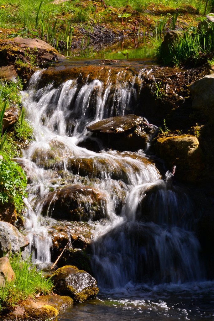 D70_8176.JPG - koppmeier.net