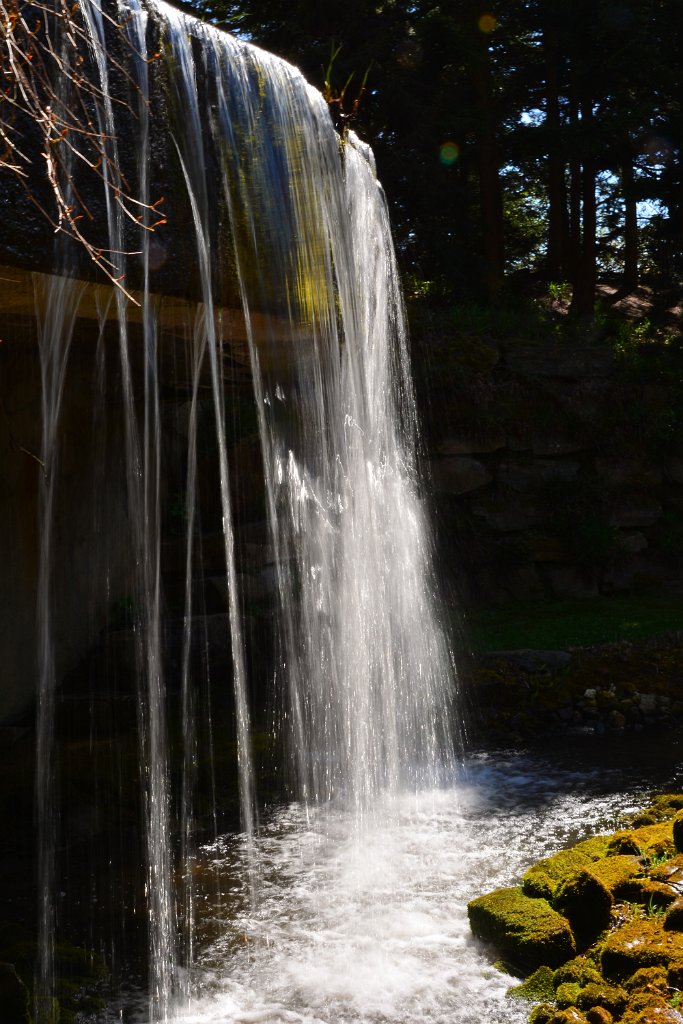 D70_8214.JPG - koppmeier.net