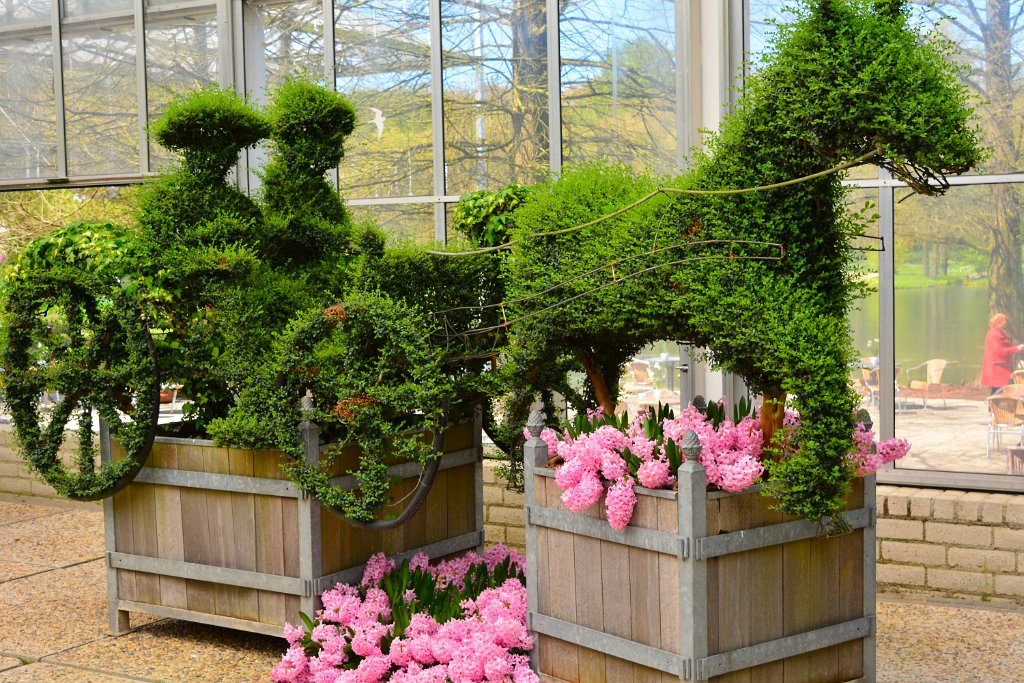 D70_8282.JPG - koppmeier.net