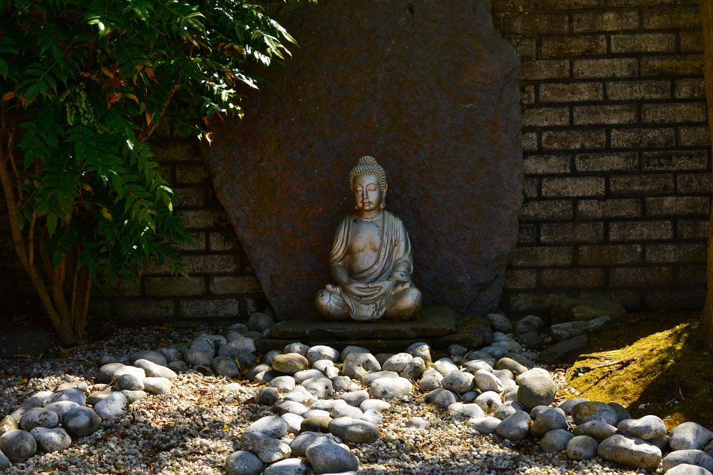 D70_8306.JPG - koppmeier.net