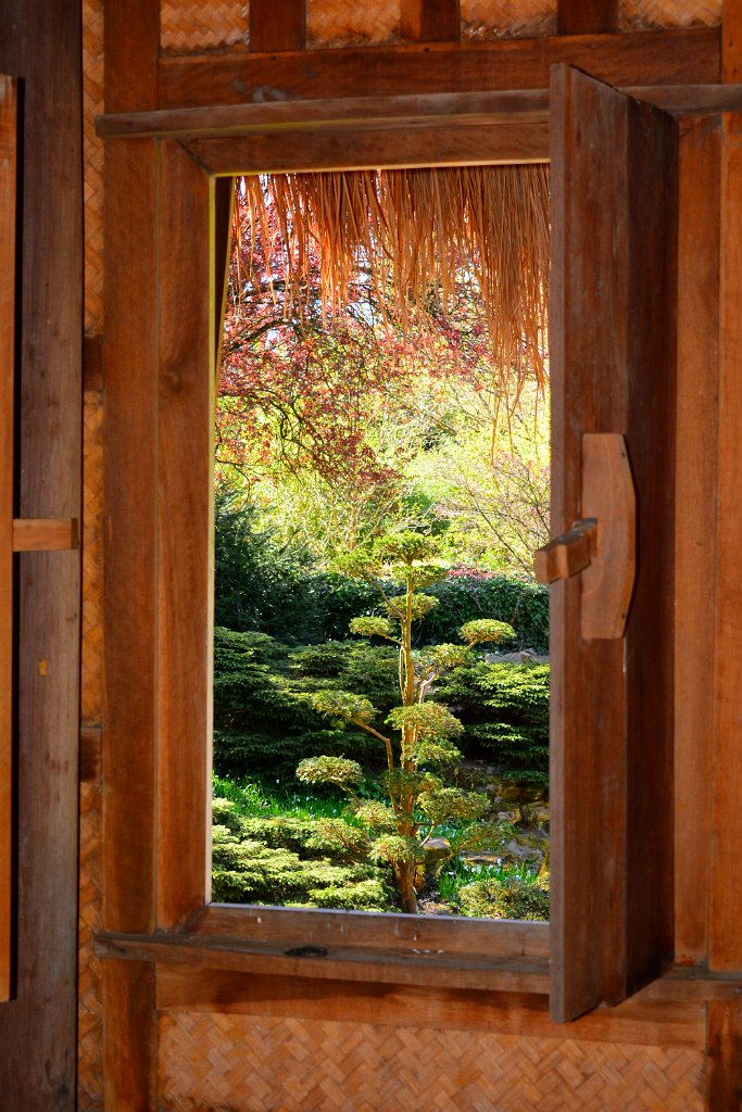 D70_8340.JPG - koppmeier.net