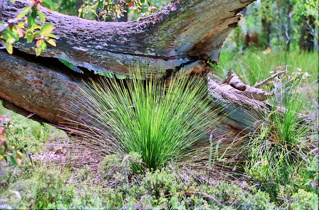 2101-03.jpg - (Margaret Valley)