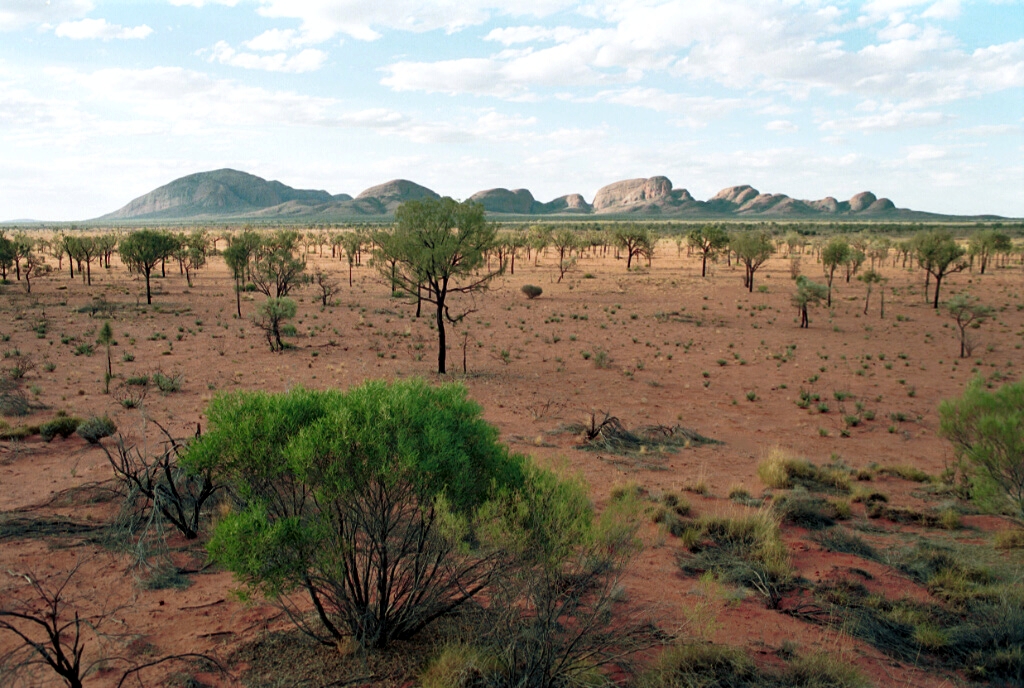 2104-24.jpg - Uluru (Ayers Rock)