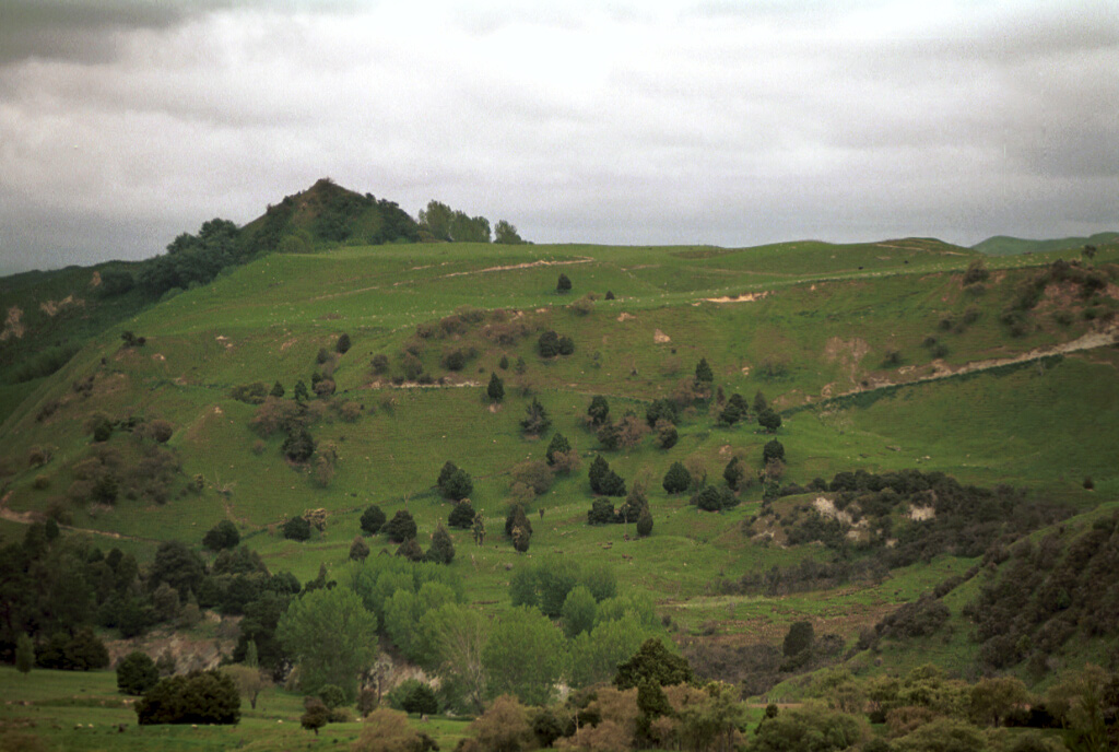 2106-12.jpg - [de]Neuseeland, Nordinsel[en]New Zealand, Northern Island
