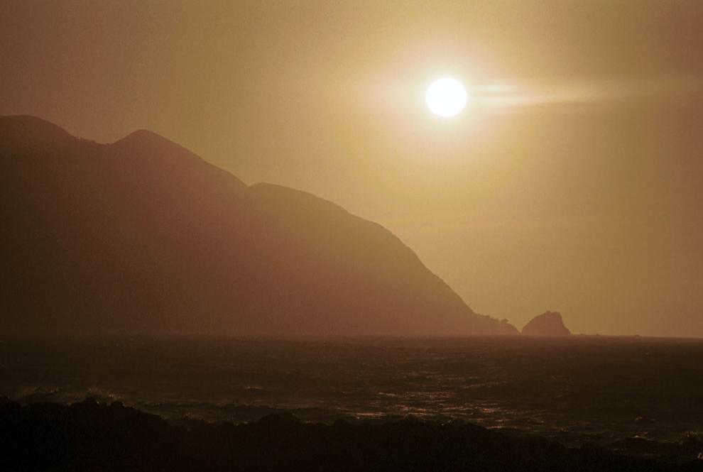 2106-15.jpg - [de]nahe Wellington (Neuseeland, Nordinsel)[en]near ellington (New Zealand, Northern Island)