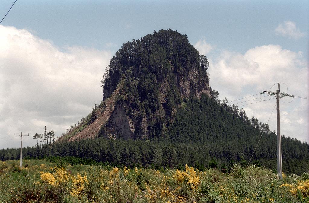 2106-30.jpg - [de]Neuseeland, Nordinsel[en]New Zealand, Northern Island