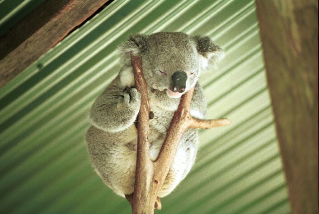 2107-11.jpg - Sebastian