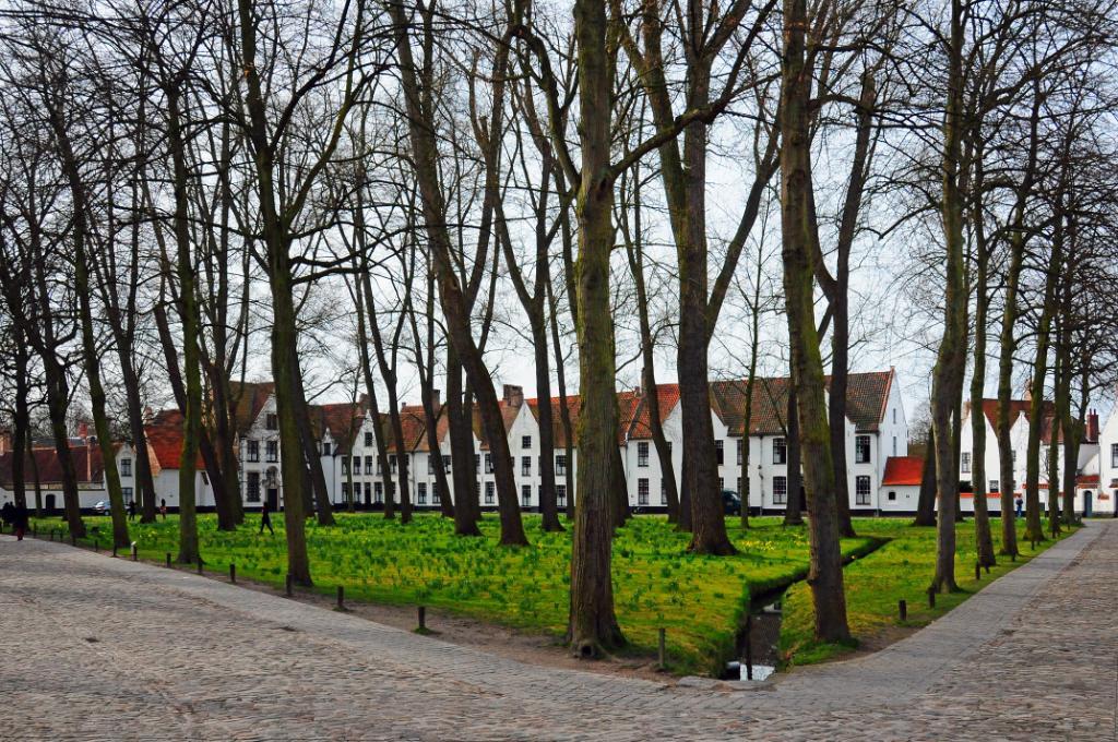 N3B_4739m.jpg - [de]Beginenhof[en]beguinage