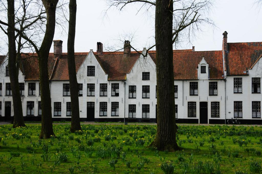 N3B_4760.JPG - [de]Beginenhof[en]beguinage
