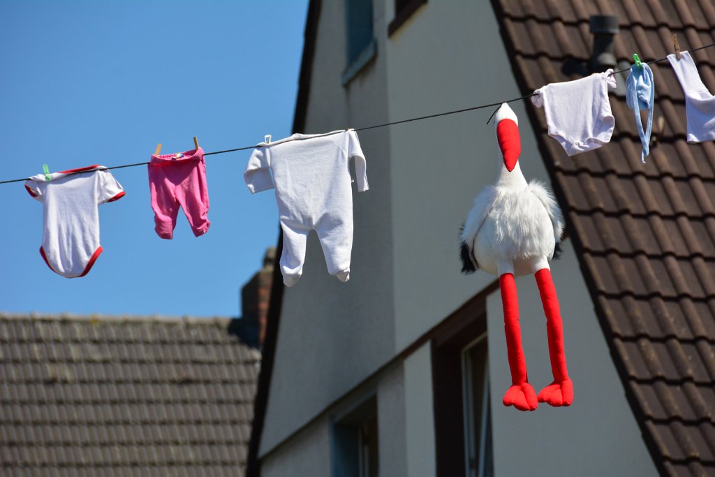 D71_2497.JPG - koppmeier.net