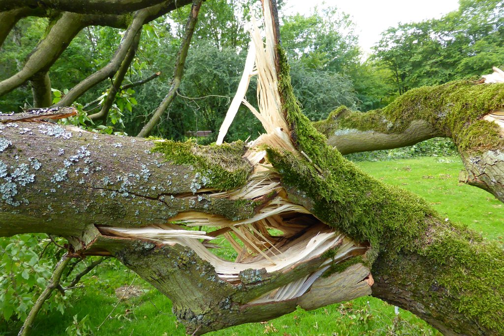 P1010422.JPG - 9.Jun.2014 [de] nach "Elo"[en] after hurricane "Elo"