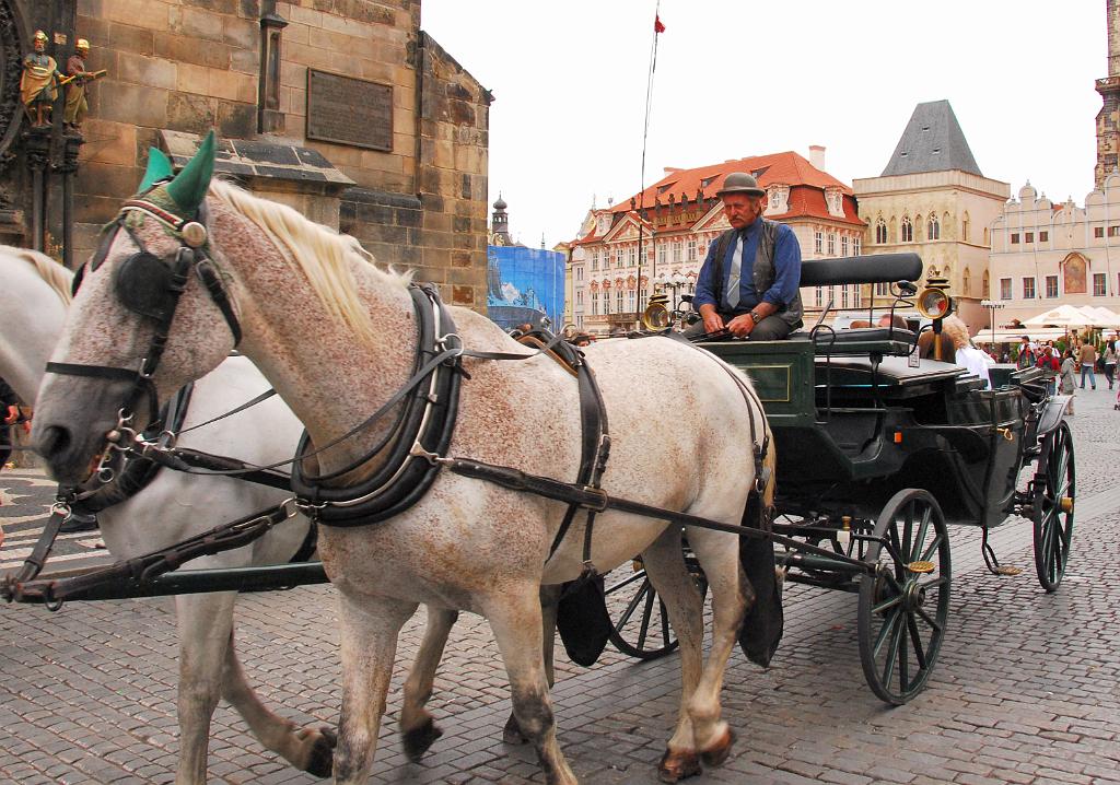 0450-DSC_4172DL.jpg - [de]Stadtrundfahrt mit Pferdekutsche. Mein Kollege meinte: "Der Kutscher sieht genauso müde aus wie das Pferd".[en]Sightsseeing tour by horse driven coach. My mate said "the driver looks as tired as his horse"