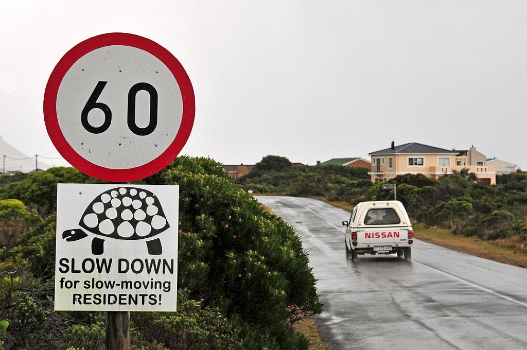 101_1078m.jpg - [en]near Betty's Bay [de]bei Betty's Bay