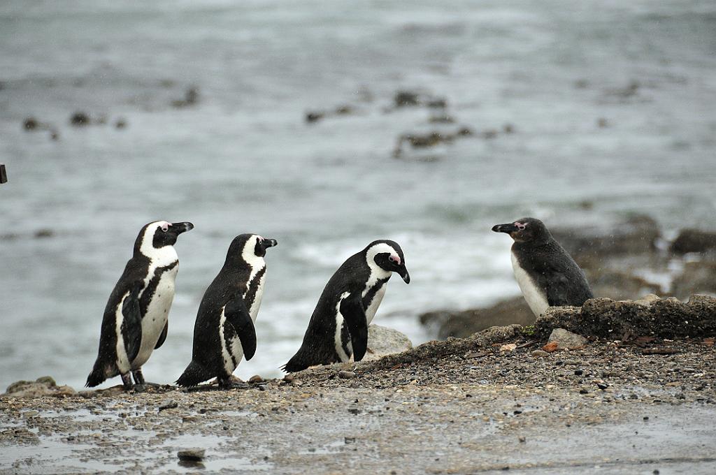 101_1106.jpg - [en](late for dinner??)