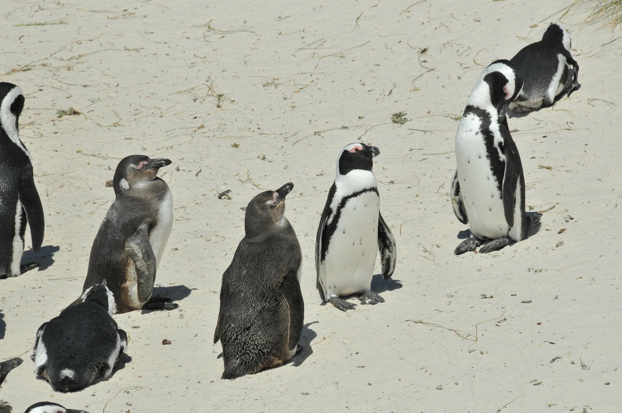 101_2787.JPG - Boulders