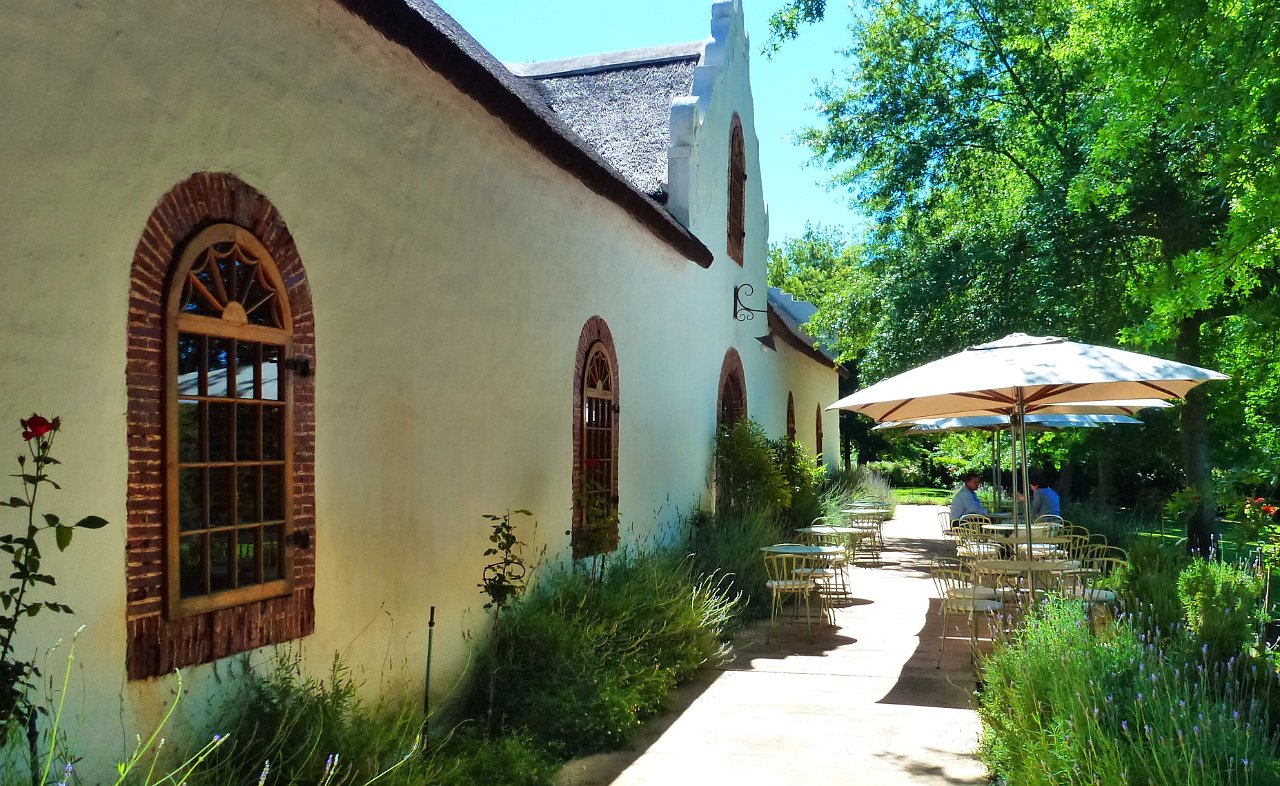 P1000403m.jpg - Rust en Vrede Wine Estate