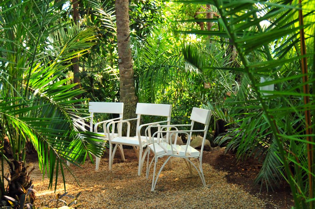 11100_N3B_2713.JPG - [de]Palmenhaus im Park von Schloss Schönbrunn[en]Palm house, Schoenbrunn palace