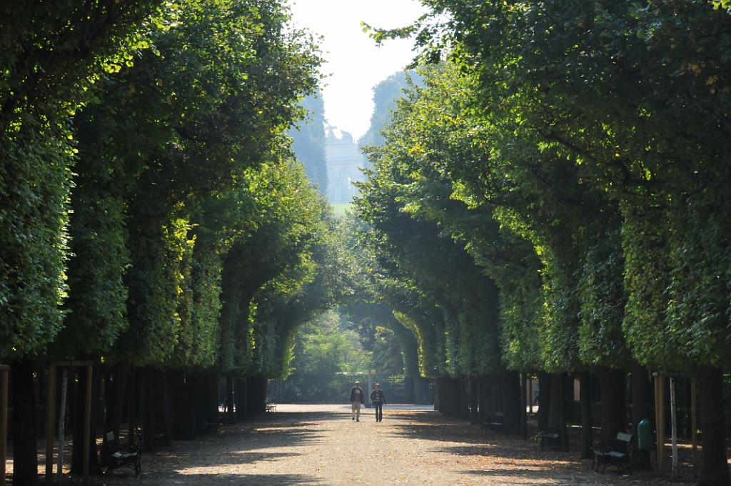 11800_N3B_2774.JPG - [de]Park von Schloss Schönbrunn[en]Palace gardens of Schoenbrunn