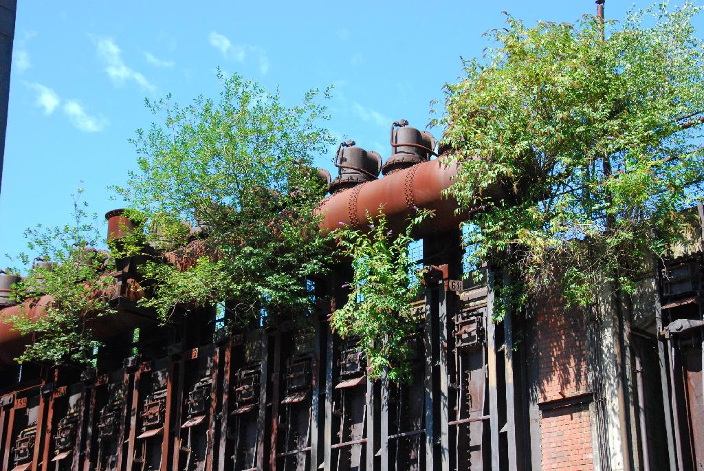 DSC_3660.JPG - [de]Langsam holt sich die Natur zurück, was ihr vor 100 Jahren gestohlen wurde.[en]Mother Nature slowly retrieves what has been stolen from her a 100 years ago.